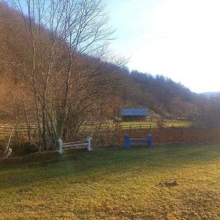 Vikendica Nole Jahorina Villa Pale Ngoại thất bức ảnh